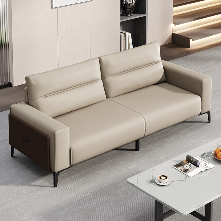 Home Office Guest Room - Ofis resepsiyonu kanepe sehpa kombinasyonu misafirlerle